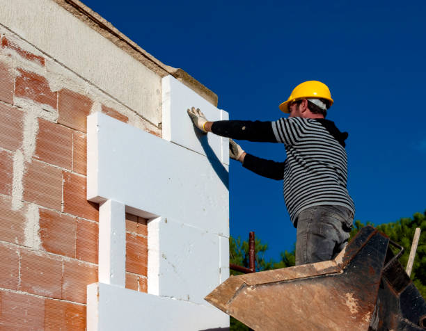 Best Best Insulation Companies  in Sumner, IL