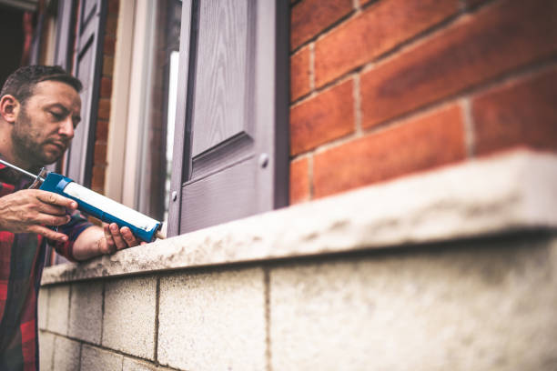 Best Home Insulation Services  in Sumner, IL