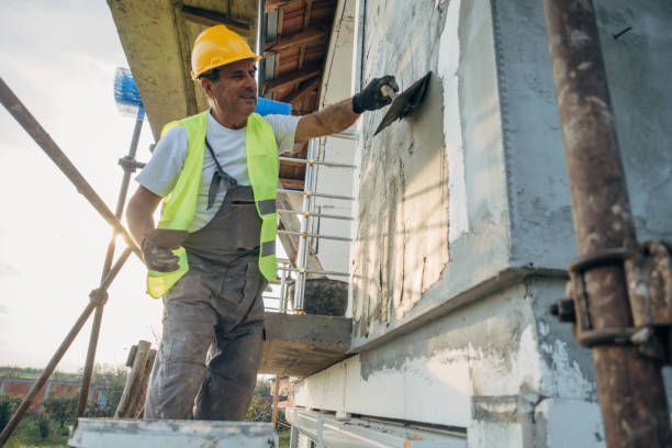 Best Insulation Removal  in Sumner, IL