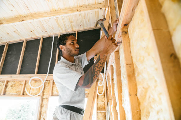 Best Insulation Contractor Near Me  in Sumner, IL
