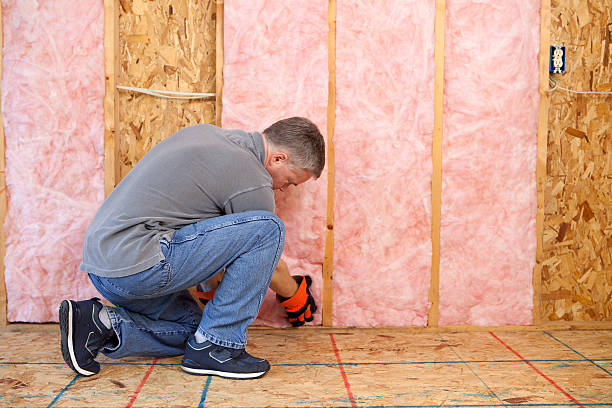 Best Spray Foam Insulation  in Sumner, IL
