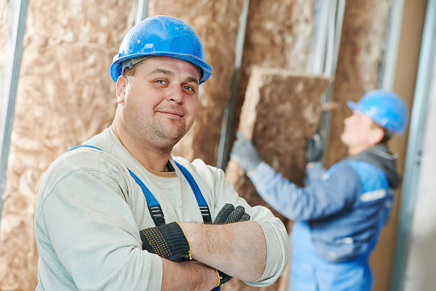 Best Insulation Repair Services  in Sumner, IL